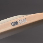 GM Purist 909 English Willow Cricket Bat